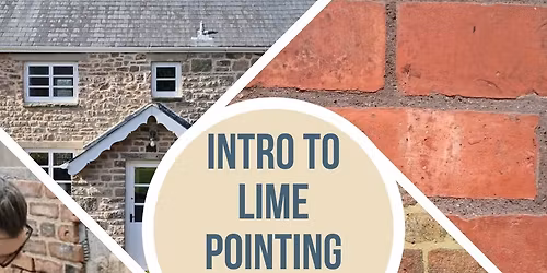 An Introduction to lime pointing