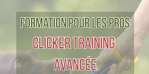 Formation Pro : Clicker Training avanc\u00e9e (2 jours!) 