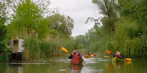 Dunaharaszti mesebeli szigetrendszere