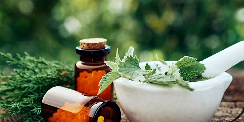 Homeopatia : Reflexions i preguntes. Alexis Bertol\u00edn
