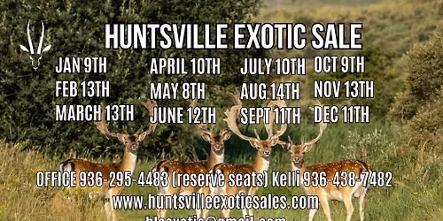 June's Exotic Sale 