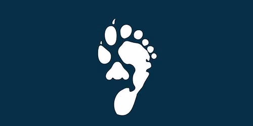 Tracker certification (trailing)