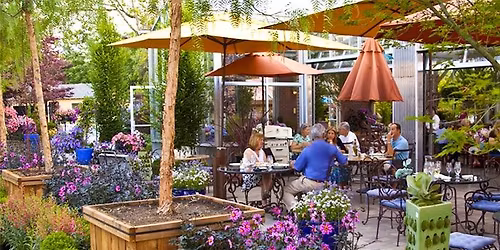 Unleashed on Mother\u2019s Day at High Hand Brewing! \ud83c\udf3a