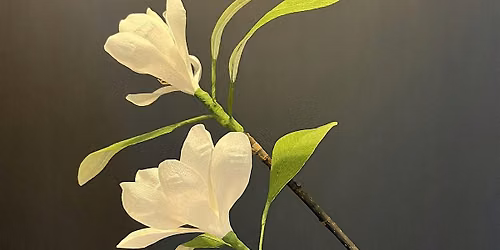 Franklinia Tree Paper Flower Workshop