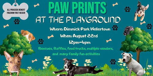 The Whole Kit and Kaboodle at Paw Prints in the Playground