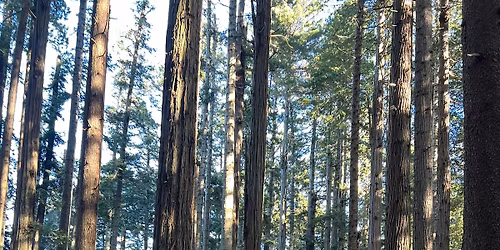 22nd Humboldt County Ice Bowl