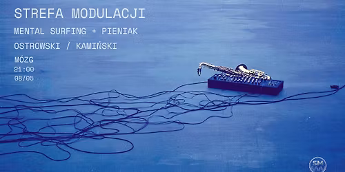 Strefa Modulacji - koncert
