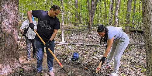 Volunteer Stewardship Workday: Trail Building at Blue Indigo Preserve