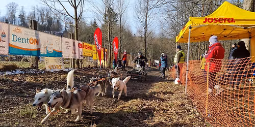 MLS26 - Mushing L\u00e1vovou Stezkou 2026 M\u010cR MID