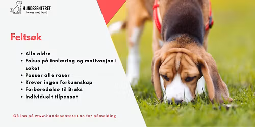 Felts\u00f8k- s\u00f8k etter gjenstander i naturen (ledige plasser)