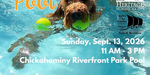 Drool in the Pool