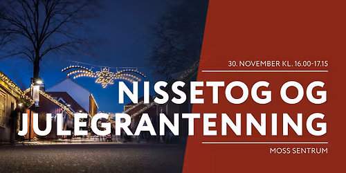 Nissetog og julegrantenning