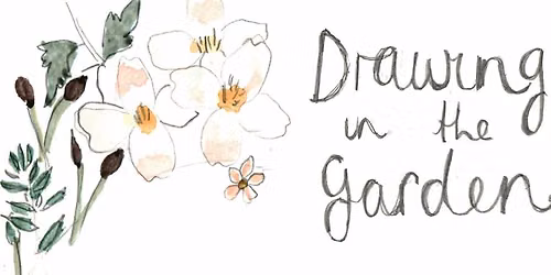 Drawing in the garden workshop 