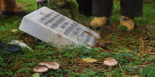 Queer Cemetery Walk: Fungi and Folklore