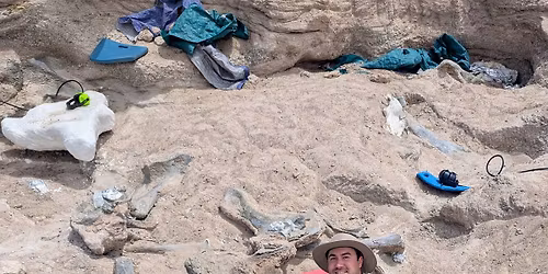 Dinosaur Talk for Curious Kids