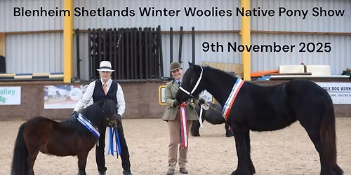Winter woolies native pony show