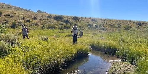 Day Trip: Coyote Ridge Ponds (Self-drive)