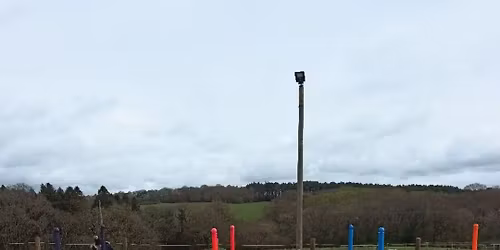 Poles & Grids with Danielle McTaggart