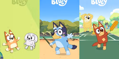 Bluey Bonanza