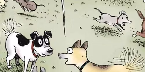 Ocean Beach Dachshund Meet-Up 