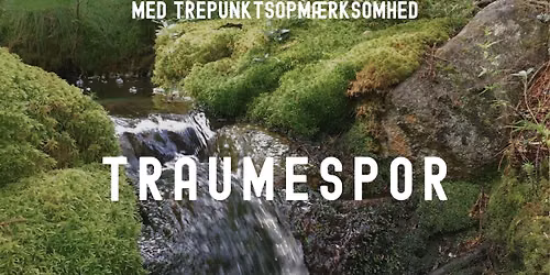 Traumespor i Norge med Espen Andli - 1. \u00e5ret med oppstart januar 2027 