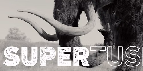 Supertusk @ Harbor Lights Drift Bar 