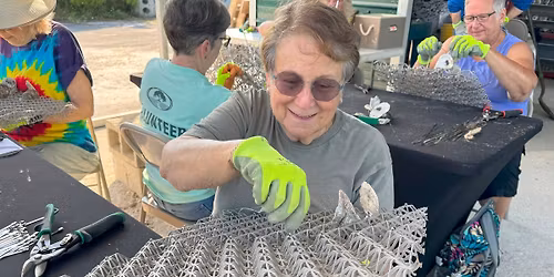 BESE Oyster Mat Workshops at IRLPP