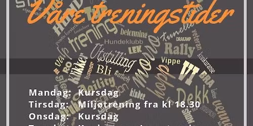 RLtreningshelg med instrukt\u00f8rer \ud83d\udc3e