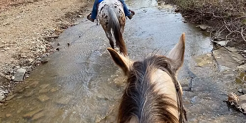 Brown County Girls Week 