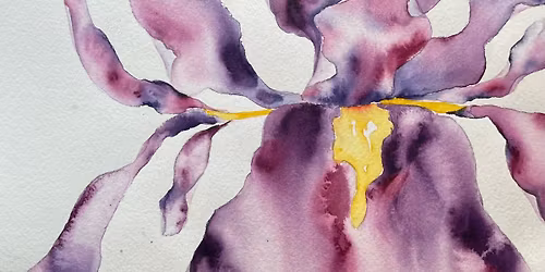 Flowing Iris Watercolor Class with Dana Childs | Tuesday | June 2nd 2026