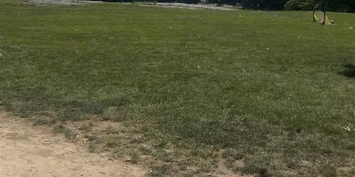 Nourish Together: An Outdoor Women\u2019s Wellness Gathering