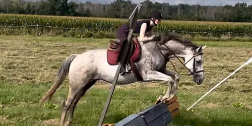 Leg Up Stables Intro Level Event 2026 & Dressage Show