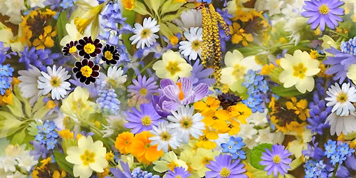 August Sacred Art - The Language of Flowers