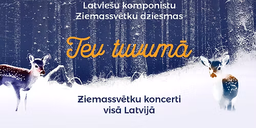 Tev tuvum\u0101 - LIEP\u0100JA, Liep\u0101jas koncertz\u0101le LIELAIS DZINTARS