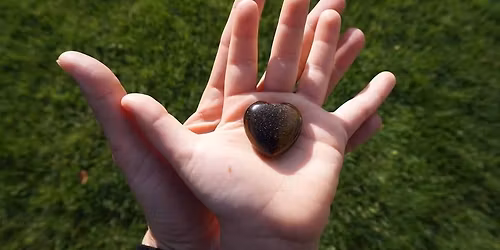 Fox Trot 5k\/10k 2026