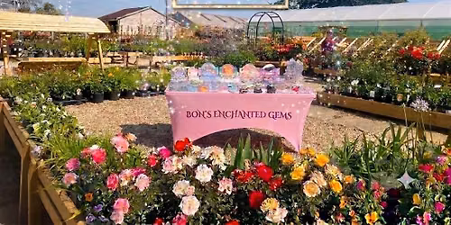 Ripleys Garden Centre Summer Fair
