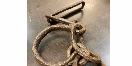 N\u00f6rdvisning: Bortom horn och Hollywood