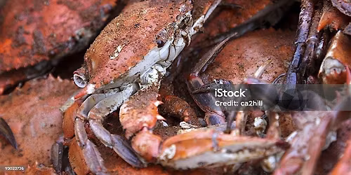 Crab Fest Grand Opening!!!!
