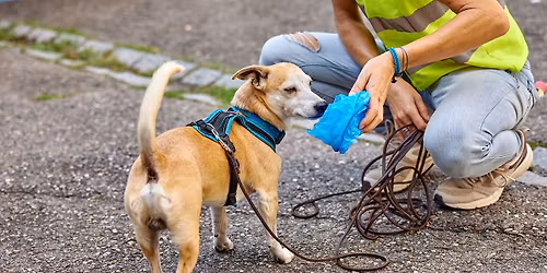 Guter Start \u2013 klarer Trail