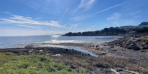 Oyster Point Bay\/Marina Park