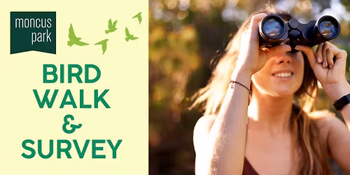 Bird Walk & Survey