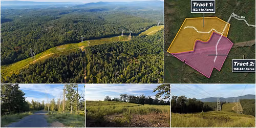 310+ACRES with STREAM for PUBLIC AUCTION at Laurel Grove Rd, Winchester VA 22602 