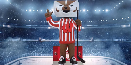 Wisconsin Badgers at Ohio State Buckeyes Womens Hockey at Ohio State Ice Rink