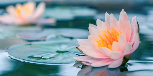 Symposium ism Jessa Ziekenhuis - Alden Biesen