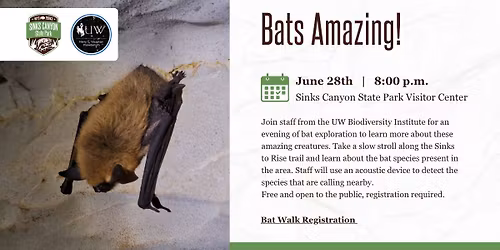 Bats Amazing!  
