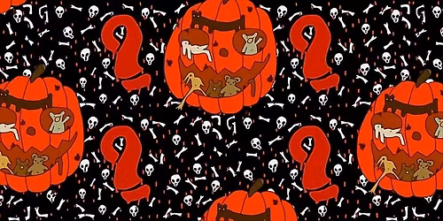 S\u00fc\u00dfes oder Schlaures - The Return of the Ostentorkinoquiz