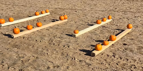 Beginner Obstacle clinic at Tammy Johnson Training Center taught by MICHAEL DUNN