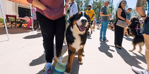 Pup Palooza Presented by Greater Huntsville Humane Society