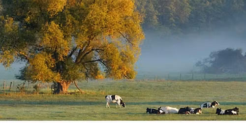 Souper Spectacle Humour : Du rire plein les bottes pour ACFA