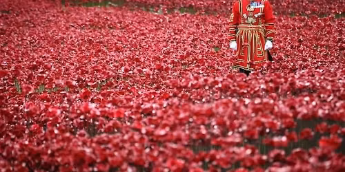 Armistice Day - Cambridge Manor 